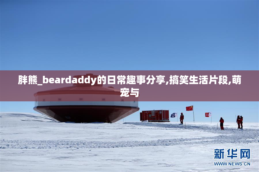 胖熊_beardaddy的日常趣事分享,搞笑生活片段,萌宠与
