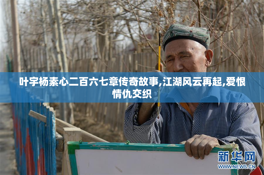 叶宇杨素心二百六七章传奇故事,江湖风云再起,爱恨情仇交织