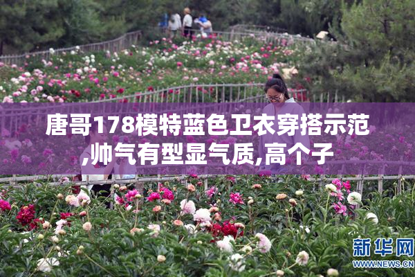 唐哥178模特蓝色卫衣穿搭示范,帅气有型显气质,高个子