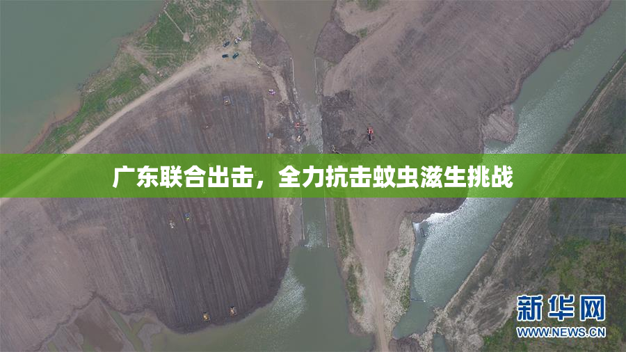 广东联合出击，全力抗击蚊虫滋生挑战