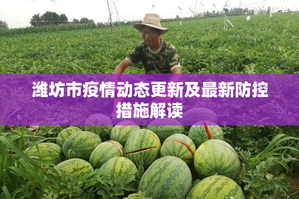 潍坊市疫情动态更新及最新防控措施解读