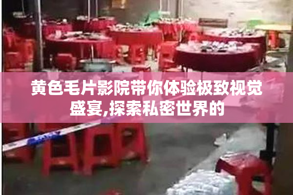 黄色毛片影院带你体验极致视觉盛宴,探索私密世界的