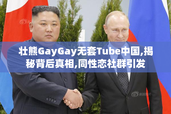 壮熊GayGay无套Tube中国,揭秘背后真相,同性恋社群引发
