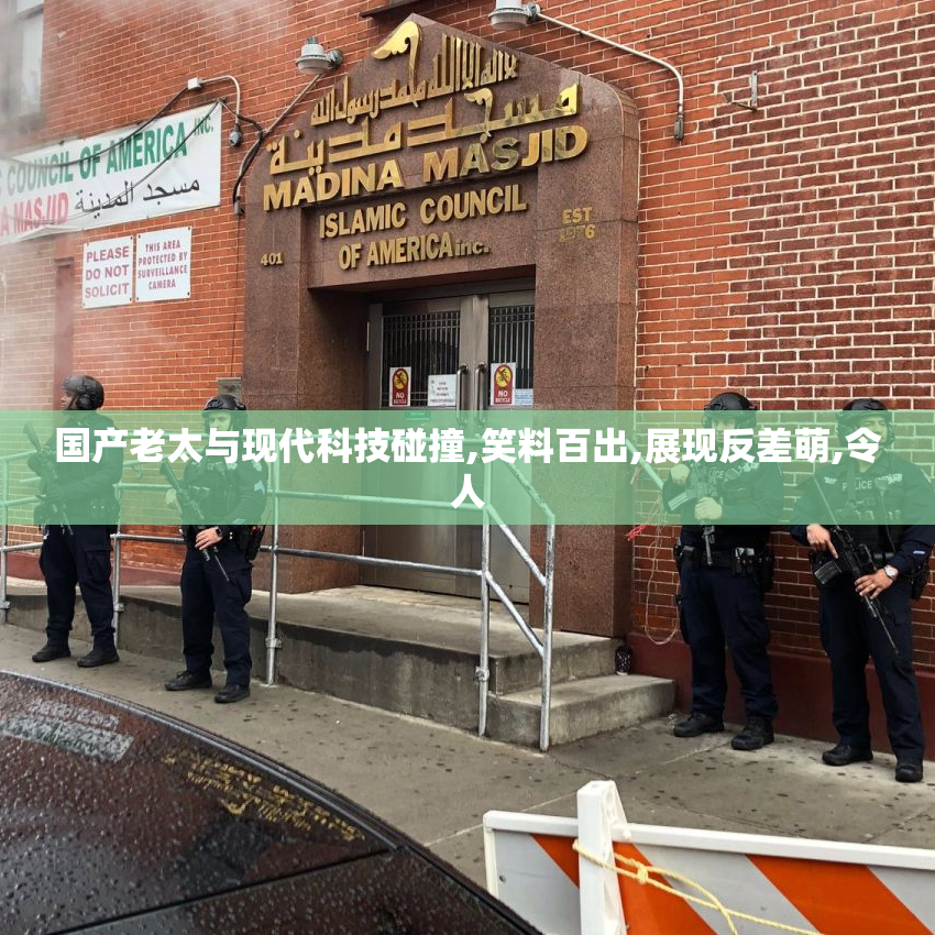 国产老太与现代科技碰撞,笑料百出,展现反差萌,令人
