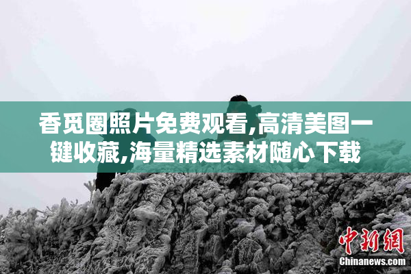 香觅圈照片免费观看,高清美图一键收藏,海量精选素材随心下载