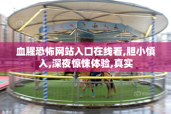 血腥恐怖网站入口在线看,胆小慎入,深夜惊悚体验,真实