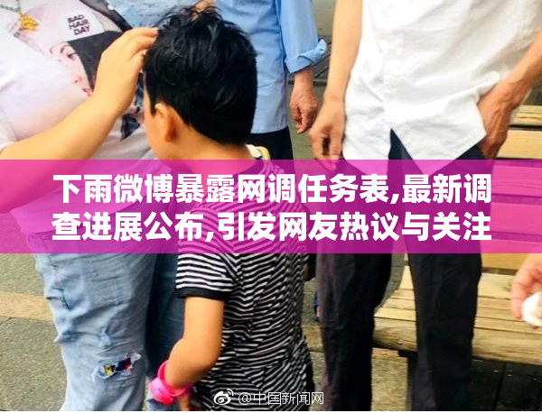 下雨微博暴露网调任务表,最新调查进展公布,引发网友热议与关注