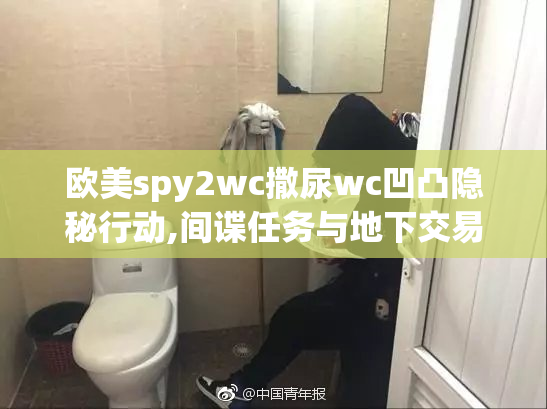 欧美spy2wc撒尿wc凹凸隐秘行动,间谍任务与地下交易