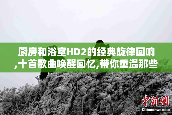 厨房和浴室HD2的经典旋律回响,十首歌曲唤醒回忆,带你重温那些洗涤