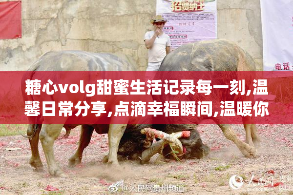 糖心volg甜蜜生活记录每一刻,温馨日常分享,点滴幸福瞬间,温暖你的