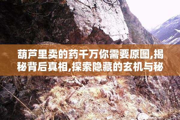 葫芦里卖的药千万你需要原图,揭秘背后真相,探索隐藏的玄机与秘密