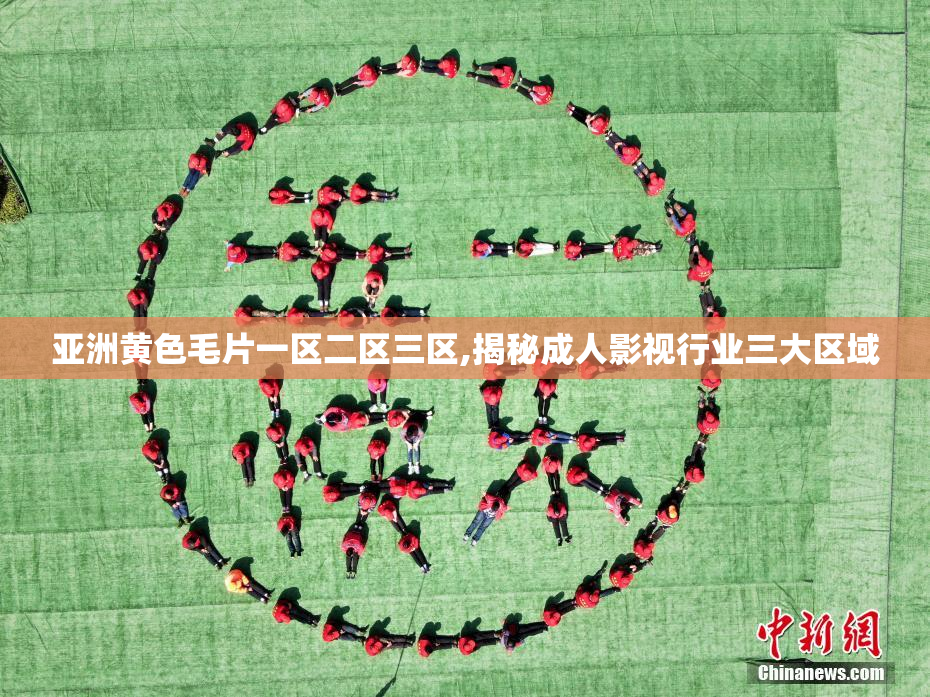 亚洲黄色毛片一区二区三区,揭秘成人影视行业三大区域