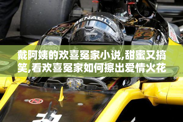 戴阿姨的欢喜冤家小说,甜蜜又搞笑,看欢喜冤家如何擦出爱情火花