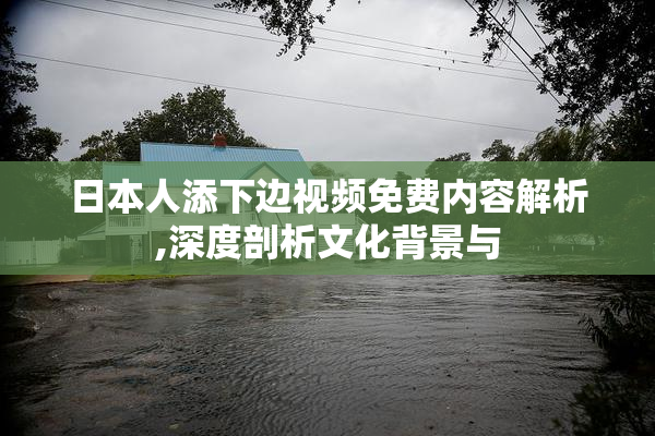 日本人添下边视频免费内容解析,深度剖析文化背景与