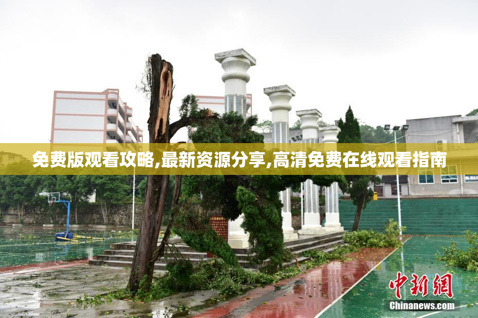 免费版观看攻略,最新资源分享,高清免费在线观看指南
