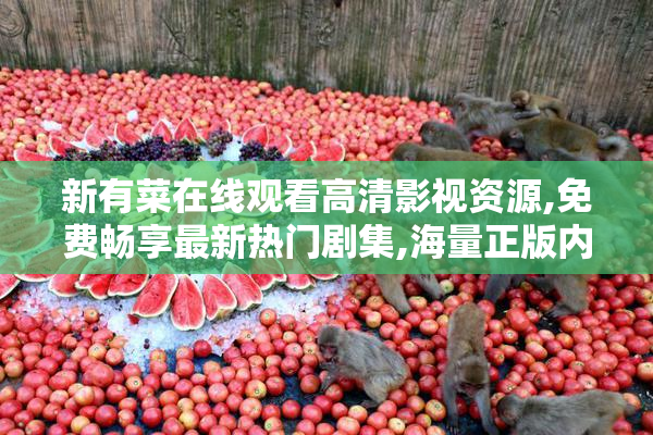 新有菜在线观看高清影视资源,免费畅享最新热门剧集,海量正版内容