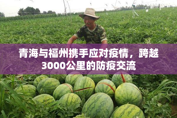 青海与福州携手应对疫情，跨越3000公里的防疫交流