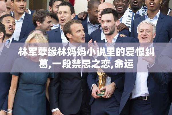 林军孽缘林妈妈小说里的爱恨纠葛,一段禁忌之恋,命运