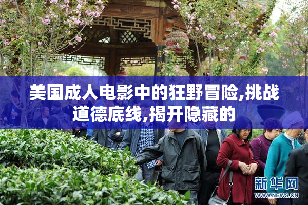 美国成人电影中的狂野冒险,挑战道德底线,揭开隐藏的