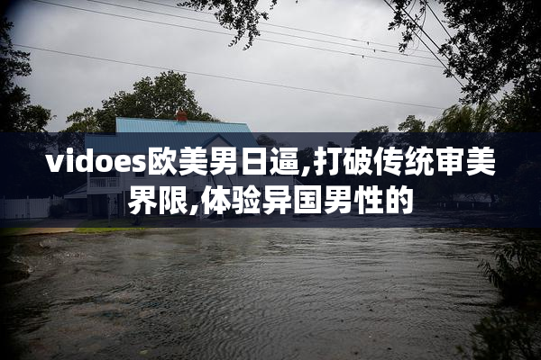 vidoes欧美男日逼,打破传统审美界限,体验异国男性的