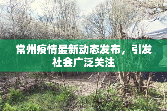 常州疫情最新动态发布，引发社会广泛关注