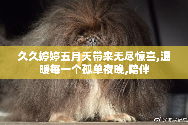 久久婷婷五月天带来无尽惊喜,温暖每一个孤单夜晚,陪伴