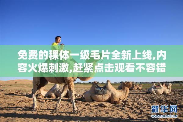 免费的稞体一级毛片全新上线,内容火爆刺激,赶紧点击观看不容错过