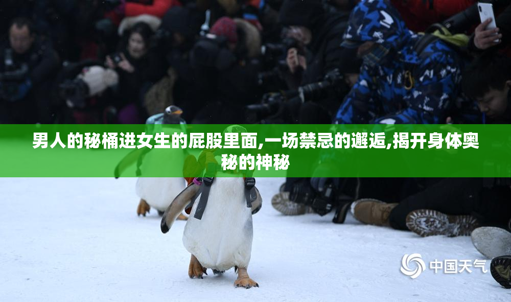 男人的秘桶进女生的屁股里面,一场禁忌的邂逅,揭开身体奥秘的神秘