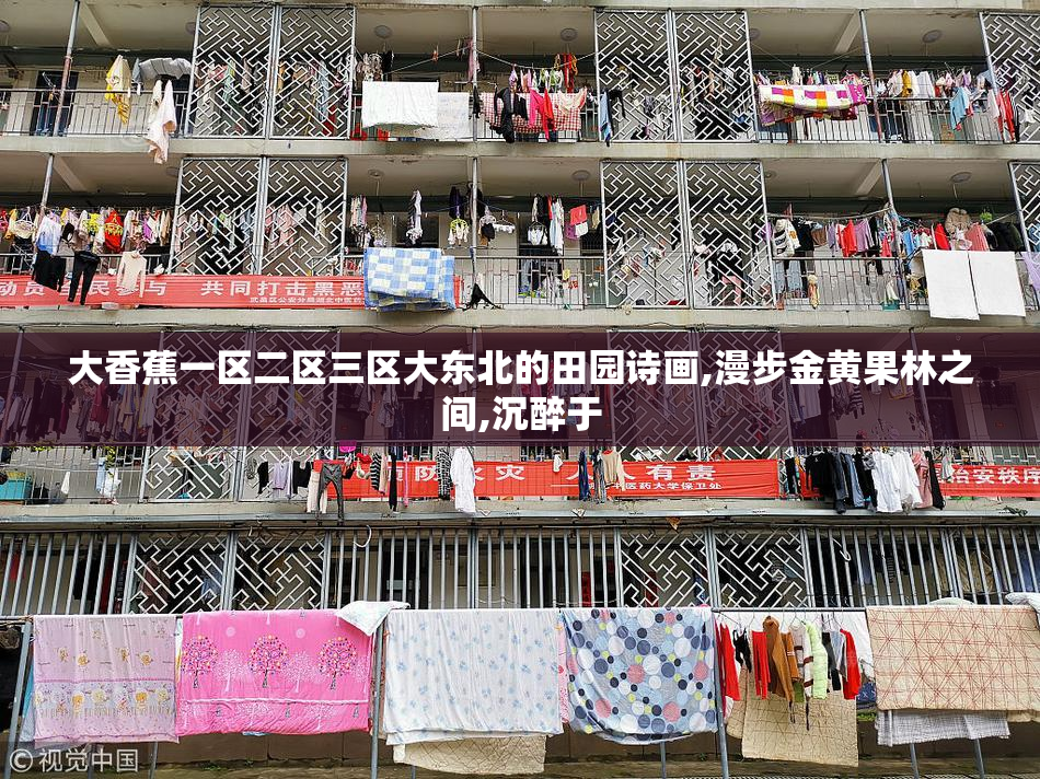 大香蕉一区二区三区大东北的田园诗画,漫步金黄果林之间,沉醉于