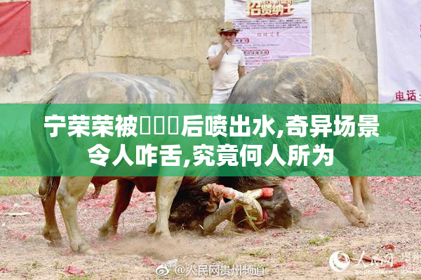 宁荣荣被❌❌❌后喷出水,奇异场景令人咋舌,究竟何人所为