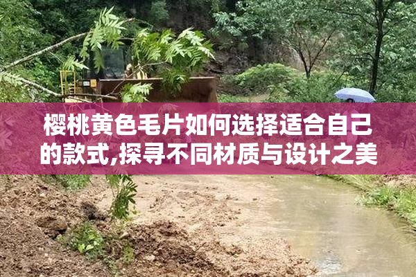 樱桃黄色毛片如何选择适合自己的款式,探寻不同材质与设计之美