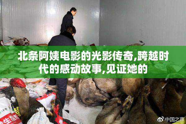 北条阿姨电影的光影传奇,跨越时代的感动故事,见证她的