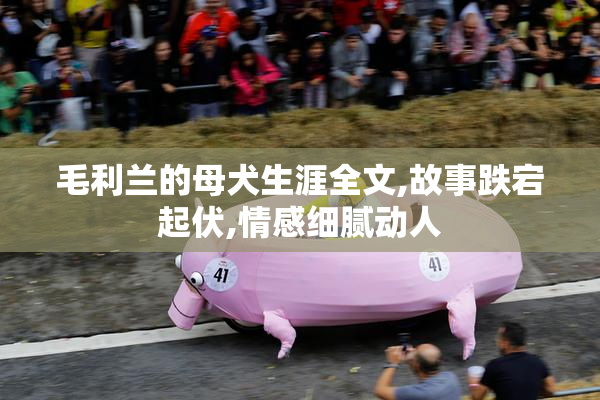 毛利兰的母犬生涯全文,故事跌宕起伏,情感细腻动人