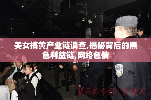 美女搞黄产业链调查,揭秘背后的黑色利益链,网络色情