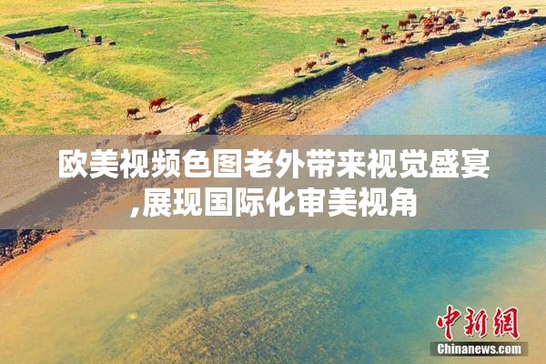 欧美视频色图老外带来视觉盛宴,展现国际化审美视角