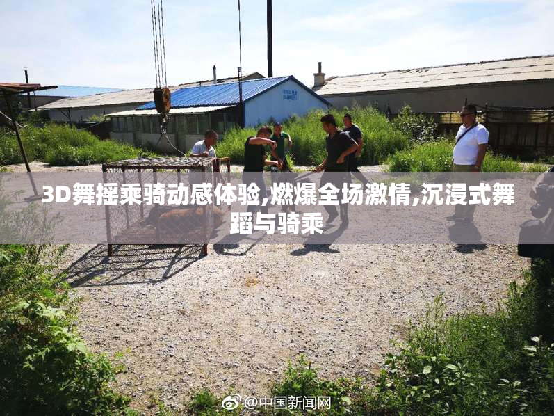 3D舞摇乘骑动感体验,燃爆全场激情,沉浸式舞蹈与骑乘