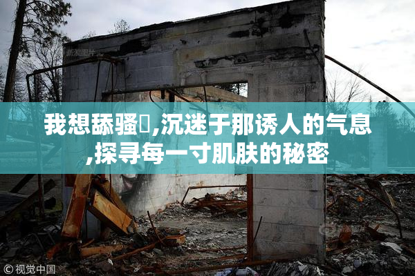 我想舔骚屄,沉迷于那诱人的气息,探寻每一寸肌肤的秘密