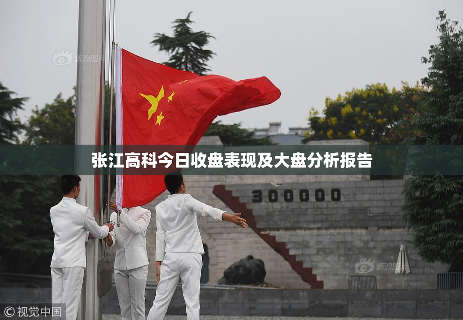 张江高科今日收盘表现及大盘分析报告