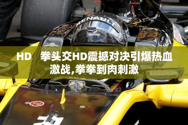 HD   拳头交HD震撼对决引爆热血激战,拳拳到肉刺激