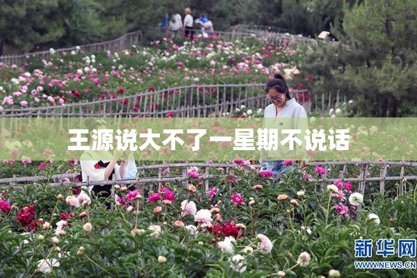 王源说大不了一星期不说话