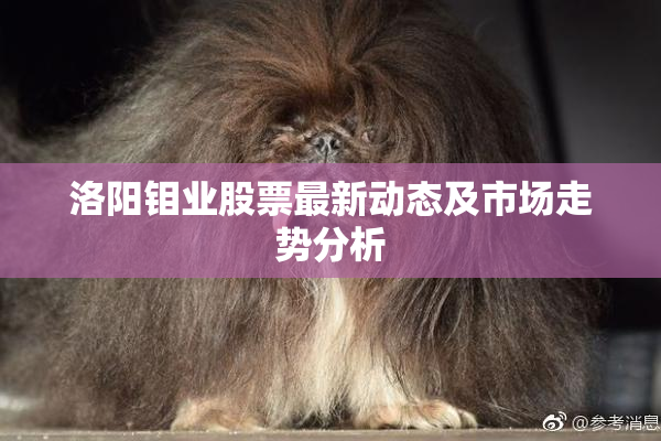 洛阳钼业股票最新动态及市场走势分析