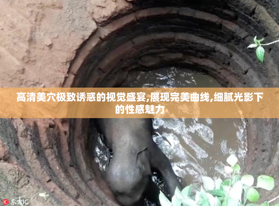 高清美穴极致诱惑的视觉盛宴,展现完美曲线,细腻光影下的性感魅力