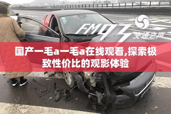 国产一毛a一毛a在线观看,探索极致性价比的观影体验