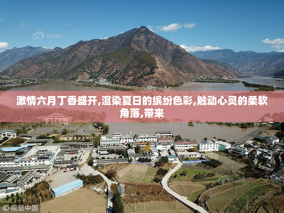 激情六月丁香盛开,渲染夏日的缤纷色彩,触动心灵的柔软角落,带来
