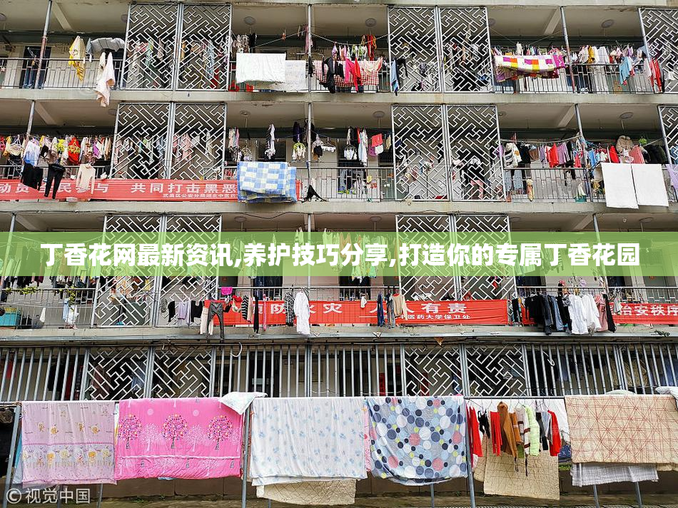 丁香花网最新资讯,养护技巧分享,打造你的专属丁香花园