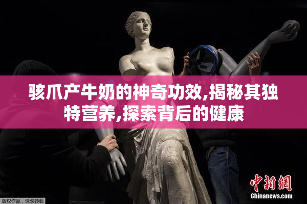 骇爪产牛奶的神奇功效,揭秘其独特营养,探索背后的健康
