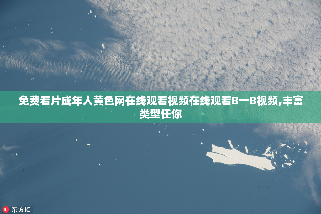 免费看片成年人黄色网在线观看视频在线观看B一B视频,丰富类型任你