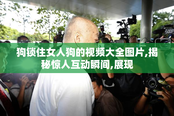 狗锁住女人狗的视频大全图片,揭秘惊人互动瞬间,展现