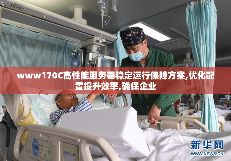 www170C高性能服务器稳定运行保障方案,优化配置提升效率,确保企业
