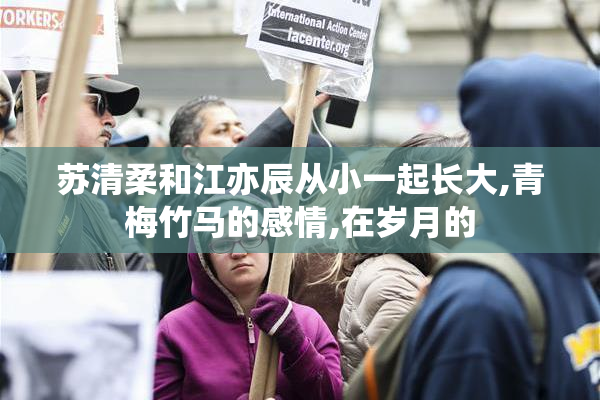 苏清柔和江亦辰从小一起长大,青梅竹马的感情,在岁月的